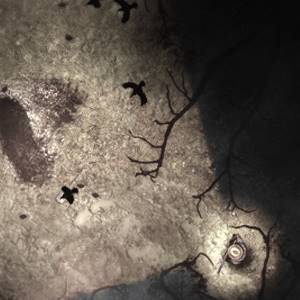 Darkwood Open Grave